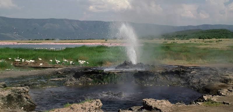 Natural steaming geothermal hot springs bubbling at the base of the Rift Valley escarpment